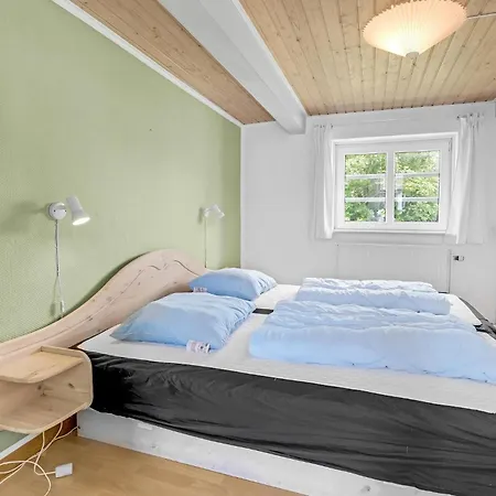 Spidsegaard Holiday home *